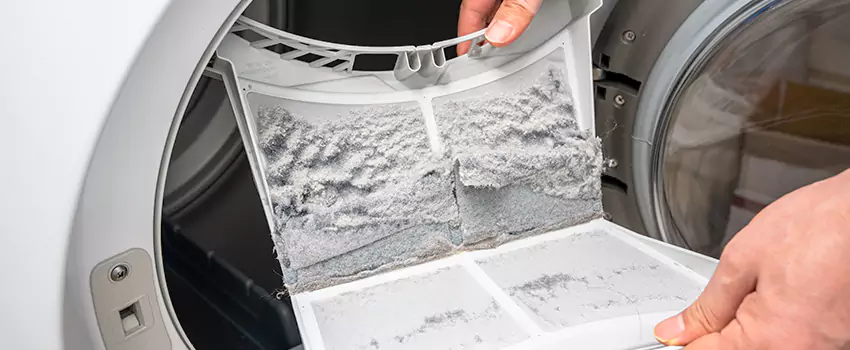Best Dryer Lint Removal Company in Scottsdale, Arizona